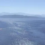 Vladimiros شقة برباتي