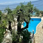 Vladimiros