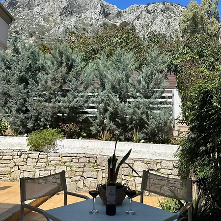 Vladimiros Apartment *