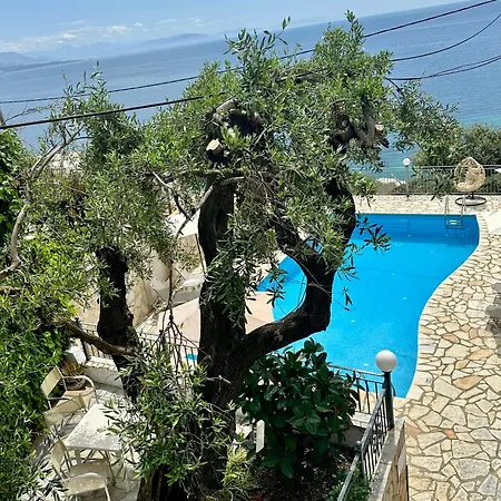 Vladimiros